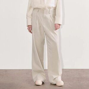 Everlane The Way-High Drape Pant in Sandstone, Size 2S, New with Tag